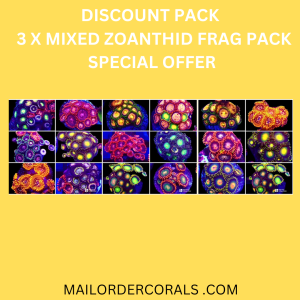 DISCOUNT PACK – 3 X SELECTION PACK MIXED ZOANTHID FRAGS (10+Polyps Each Frag )