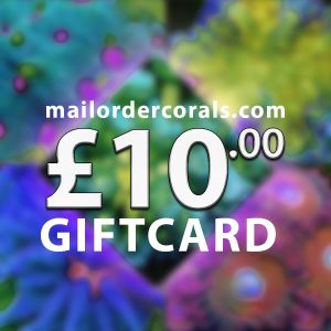 Gift Card – £10