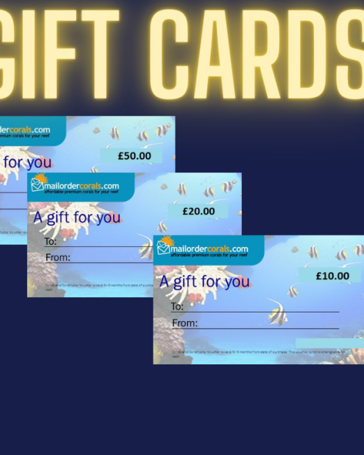 Gift Cards