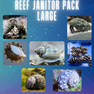 Reef Janitor Pack / Clean Up Crew – Large