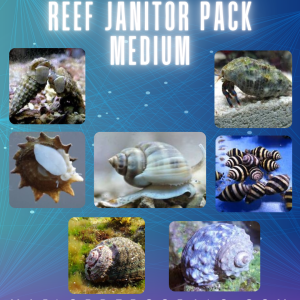 Reef Janitor Pack / Clean Up Crew – Medium