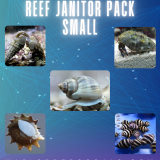 Reef Janitor Pack / Clean Up Crew - Small