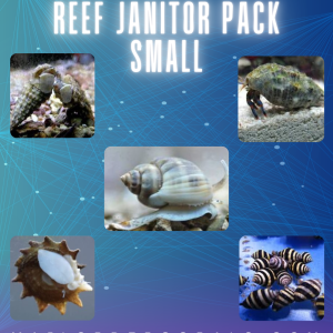 Reef Janitor Pack / Clean Up Crew – Small