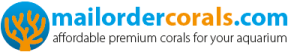 mailordercorals.com